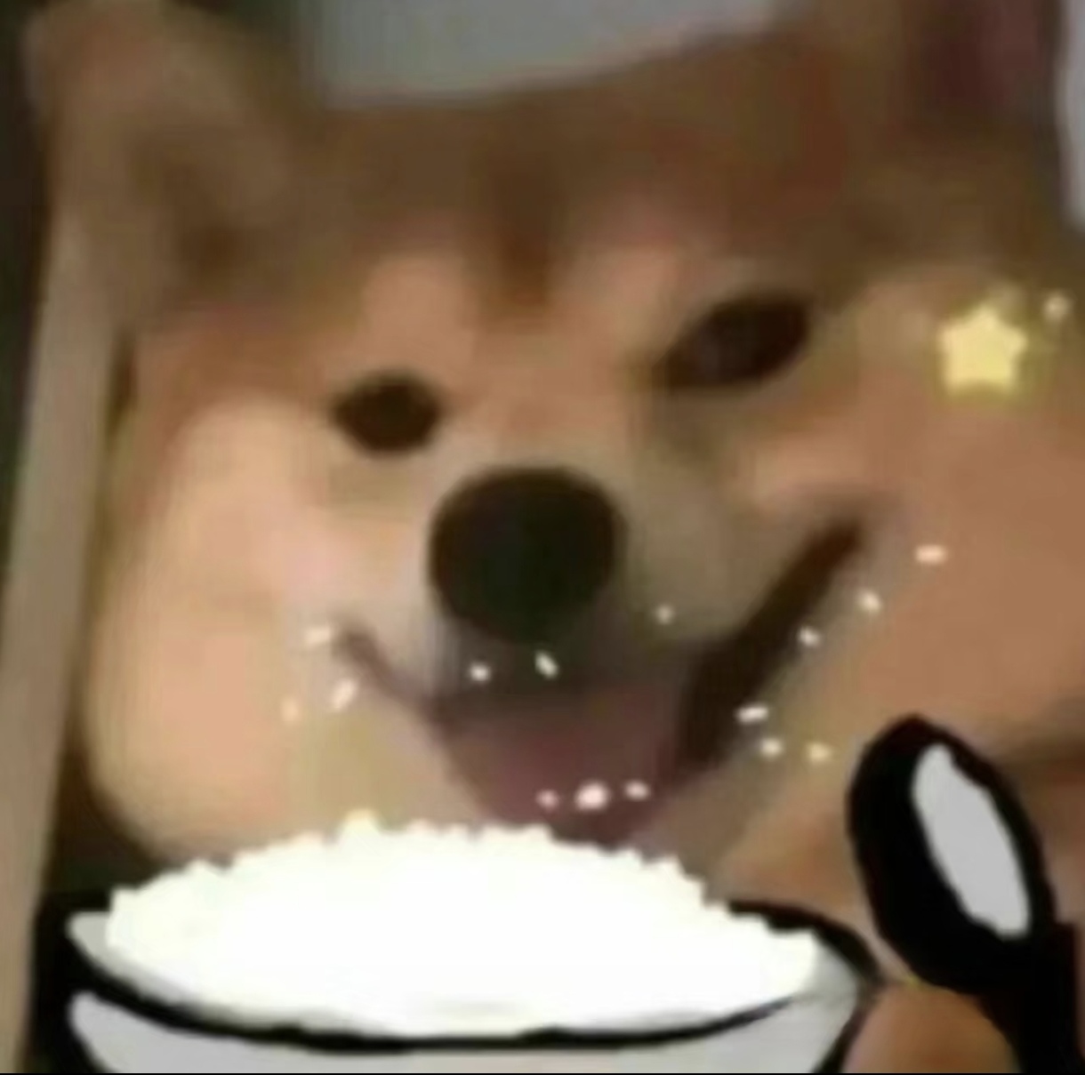早期笔记封面